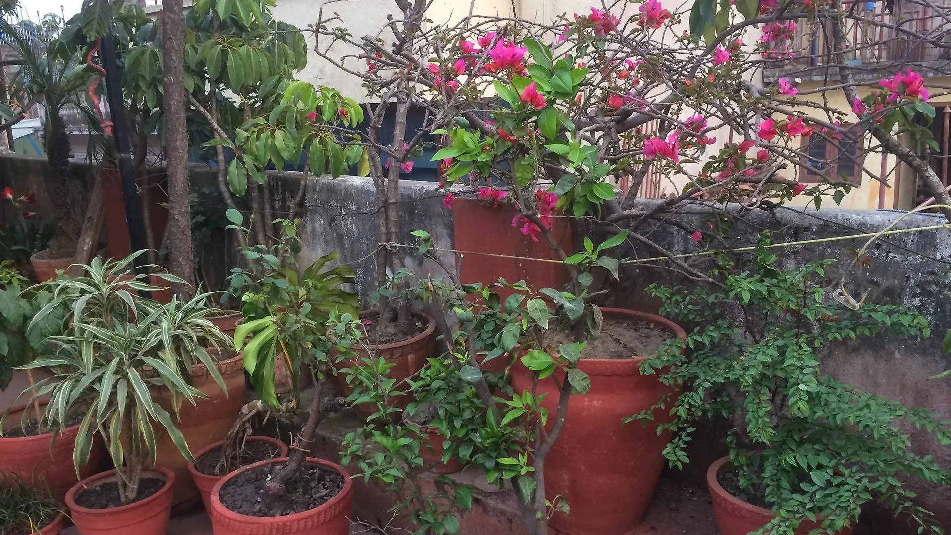 Bed & Breakfast Holy Land Hotel Nepal Kathmandu